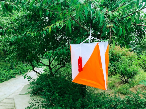 飛鳥(niǎo)創(chuàng)意拓展團(tuán)建項(xiàng)目組獨(dú)家承辦北京市朝陽(yáng)區(qū)人民法院拓展團(tuán)建活動(dòng)！